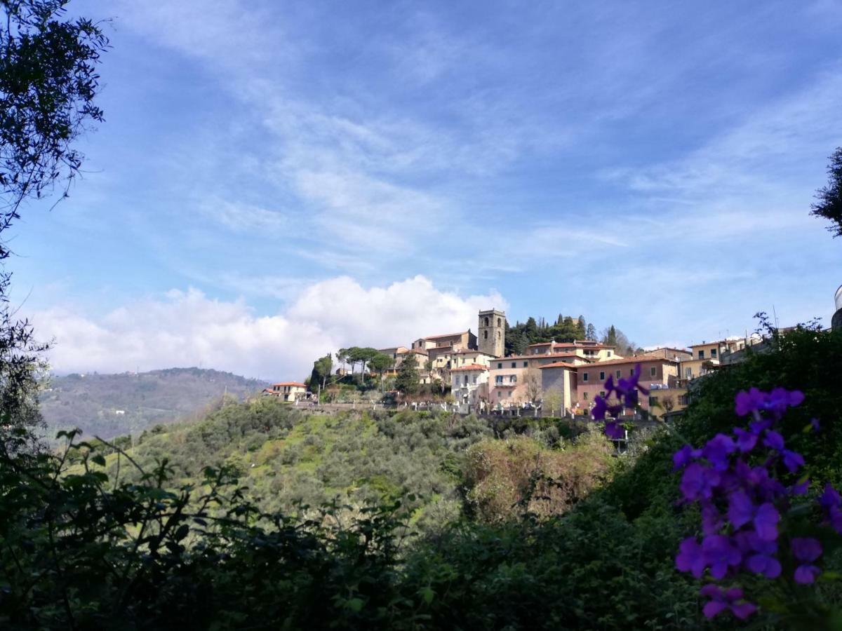 Casa Dalia Leilighet Montecatini Terme Eksteriør bilde