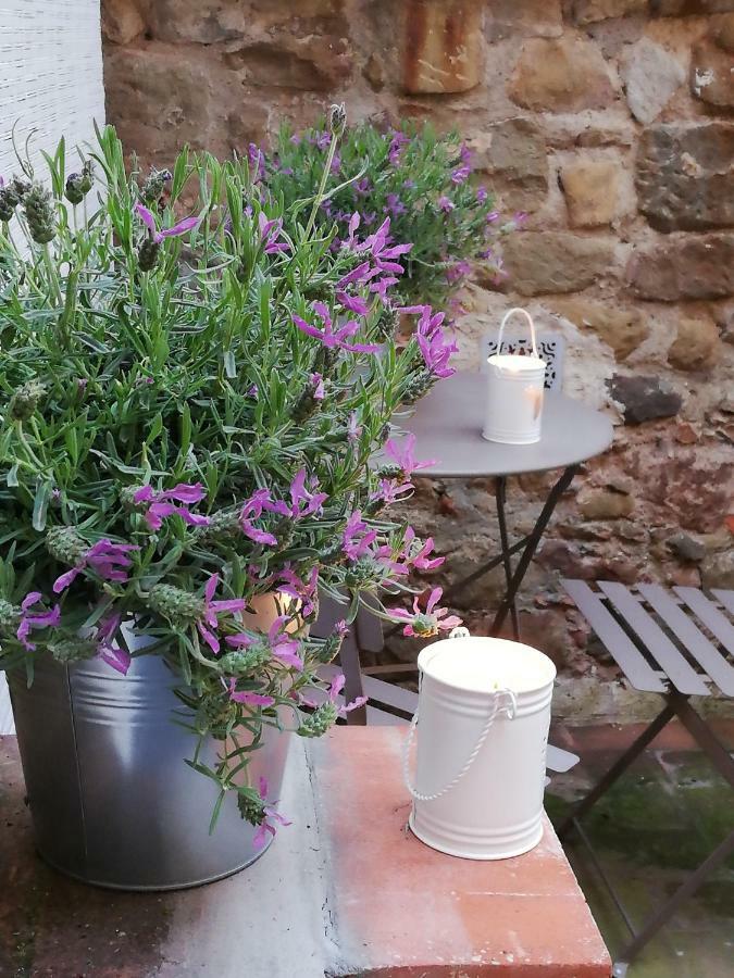 Casa Dalia Leilighet Montecatini Terme Eksteriør bilde